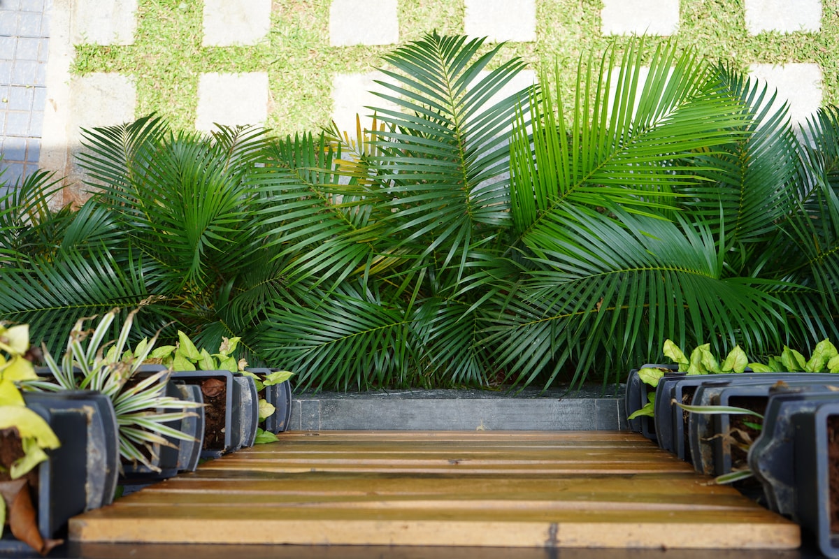 Nature 2BHK AC Villa